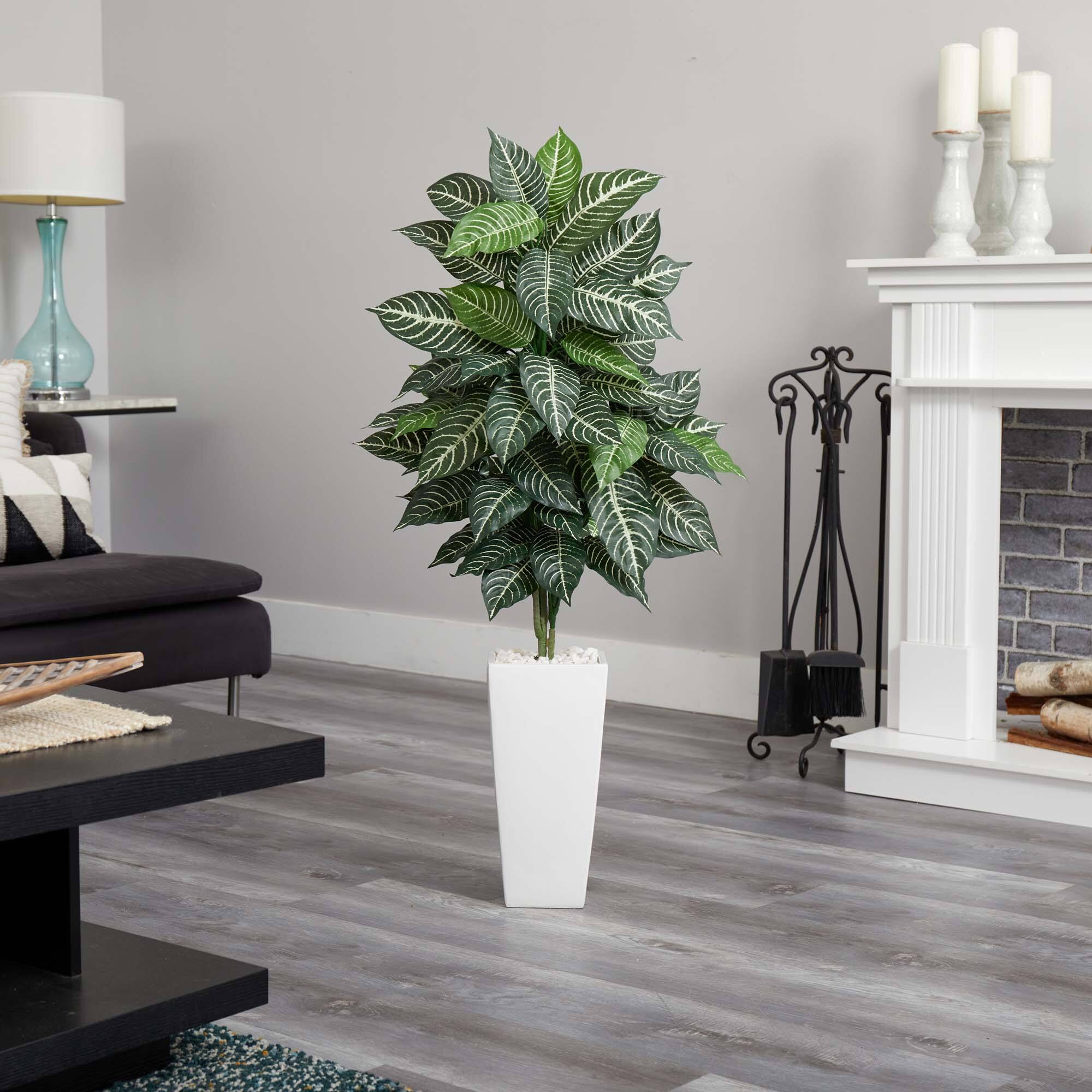 4ft. Zebra Plant in White Tower Planter